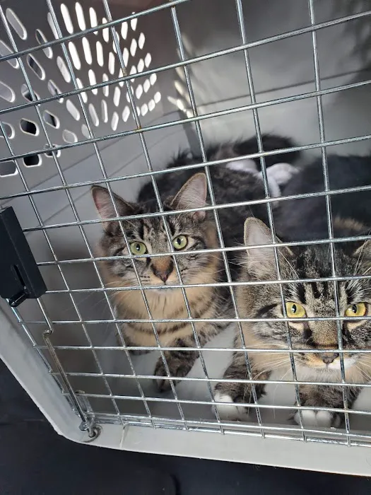 Park Place Veterinary Hospital Picture 3
