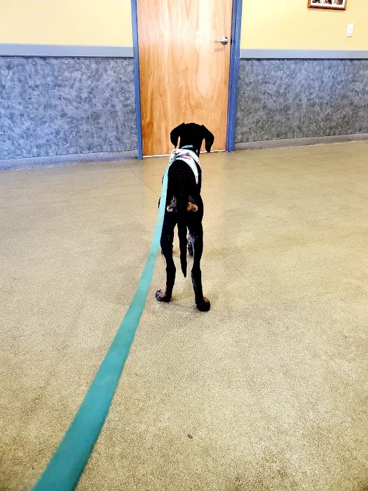 Veremedy Pet Hospital Picture 1