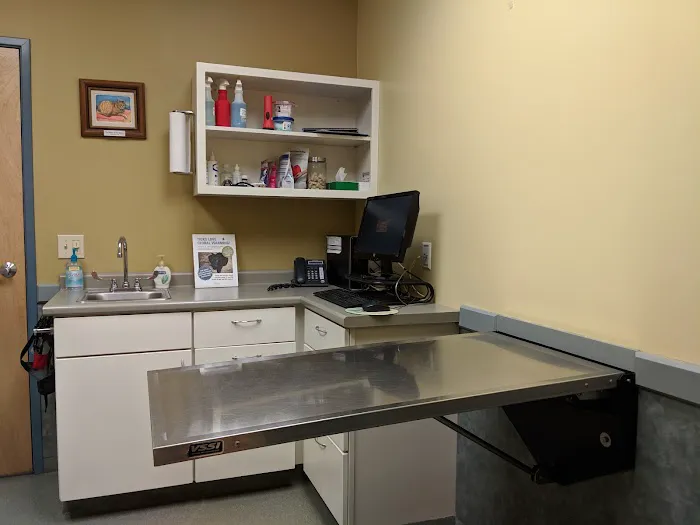 Veremedy Pet Hospital Picture 2