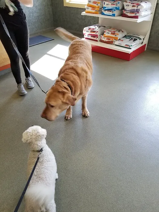 Veremedy Pet Hospital Picture 4