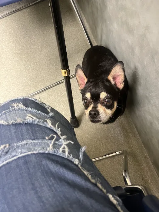 Veremedy Pet Hospital Picture 10