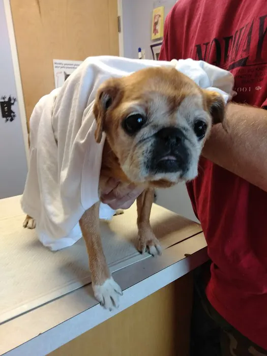 Country Animal Hospital Picture 10