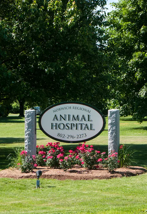 Norwich Regional Animal Hospital Picture 10