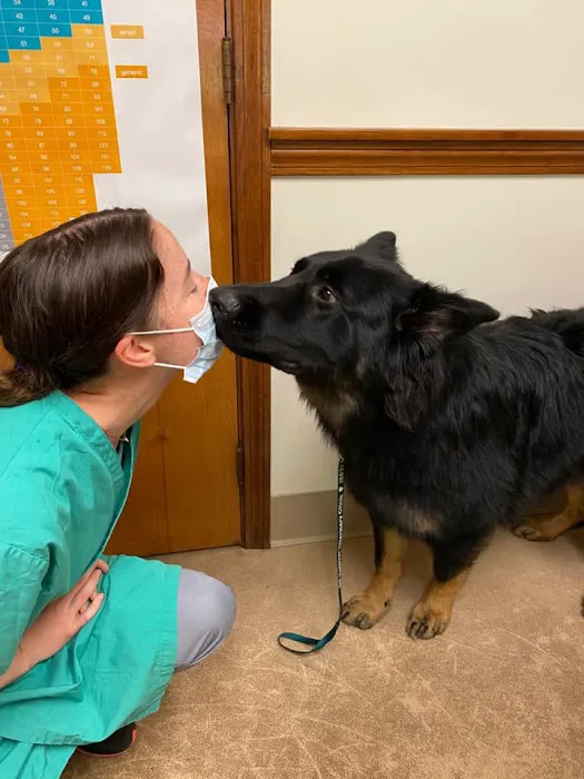 Hanover Veterinary Clinic Picture 6