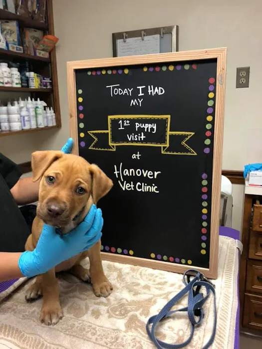 Hanover Veterinary Clinic Picture 9