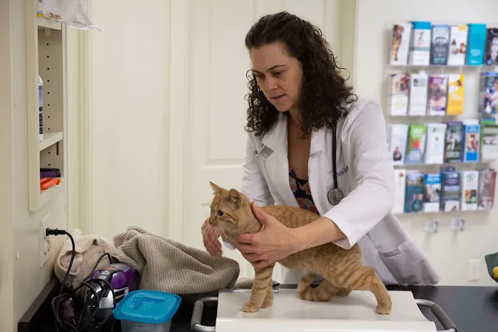 Stoney Brook Veterinary Hospital Picture 6