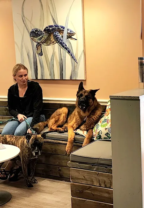 Castleton Corners Veterinary Clinic Picture 5