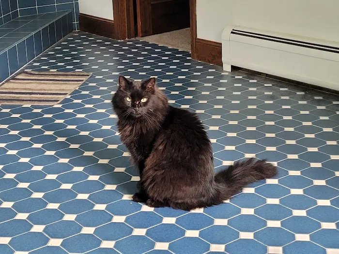 Poultney Veterinary Hospital Picture 4