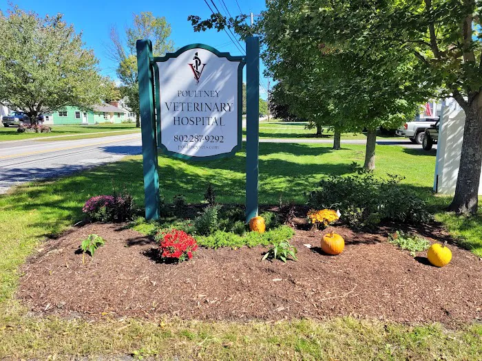 Poultney Veterinary Hospital Picture 1