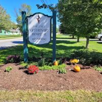 Poultney Veterinary Hospital ico
