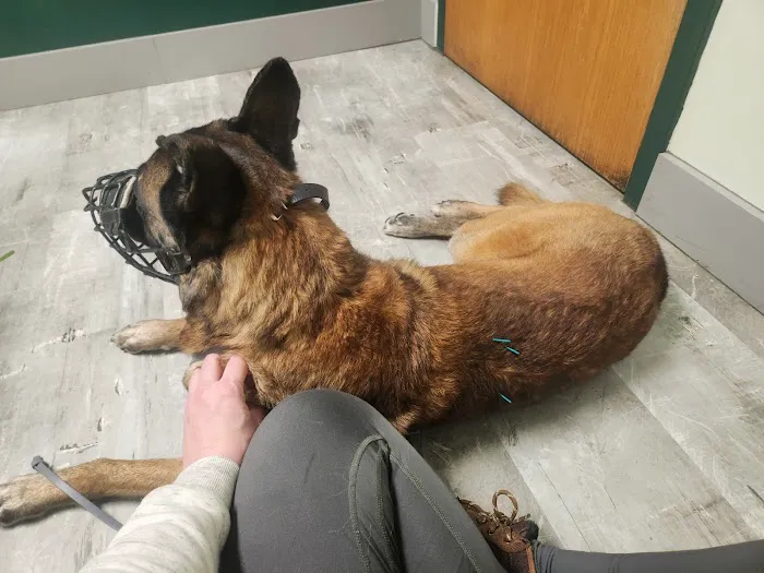 Poultney Veterinary Hospital Picture 7
