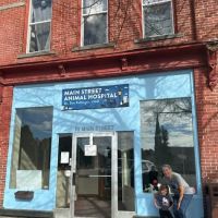 Main St. Animal Hospital ico