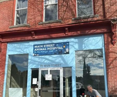 Main St. Animal Hospital