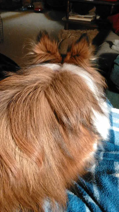 Granville Veterinary Service, Large Animal Picture 3
