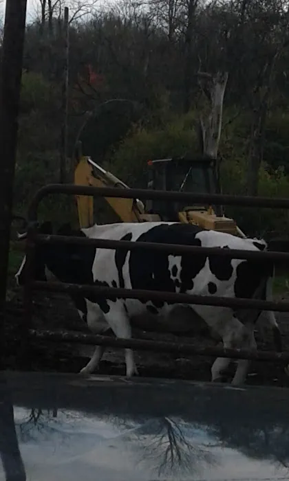 Granville Veterinary Service, Large Animal Picture 8