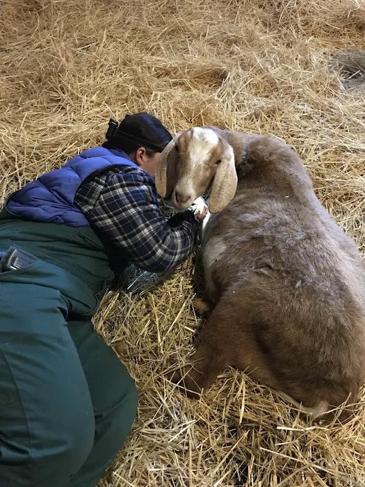 Granville Veterinary Service, Large Animal Picture 6