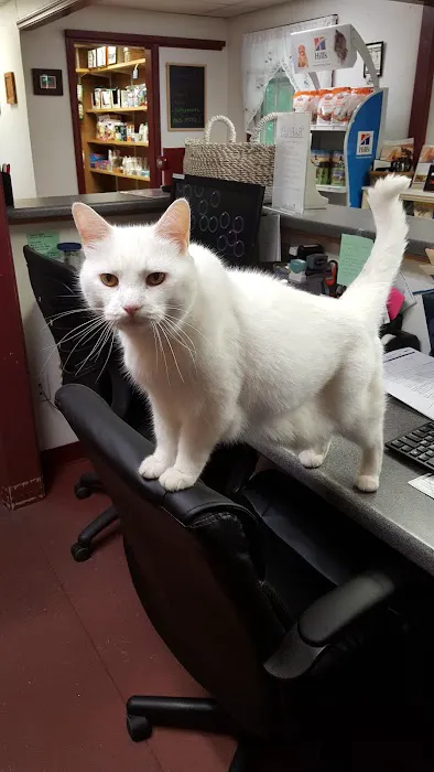 Pleasant Lake Veterinary Hospital Picture 4