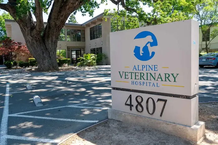 Compassion Vet Hospital Picture 6