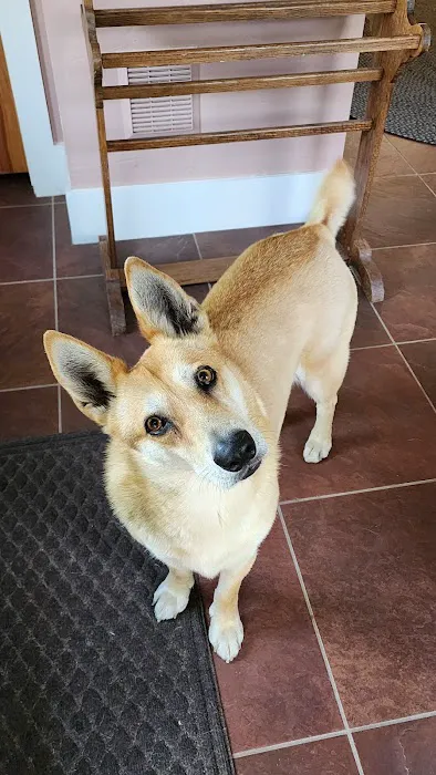 Henniker Veterinary Hospital Picture 9