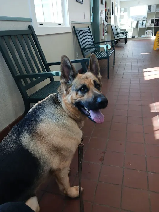 Granville Small Animal Hospital Picture 10