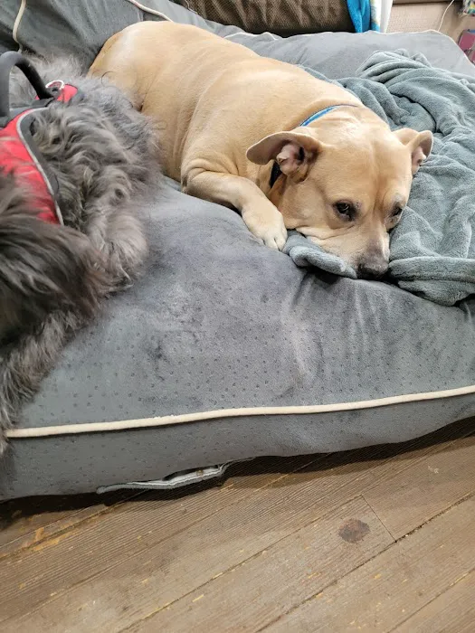 Granville Small Animal Hospital Picture 7