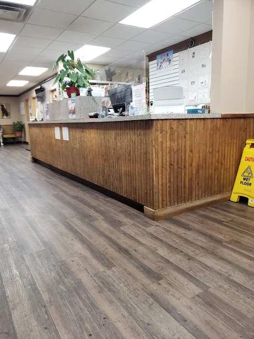 Northern Rhode Island Animal Hospital, A Thrive Pet Healthcare Partner Picture 2