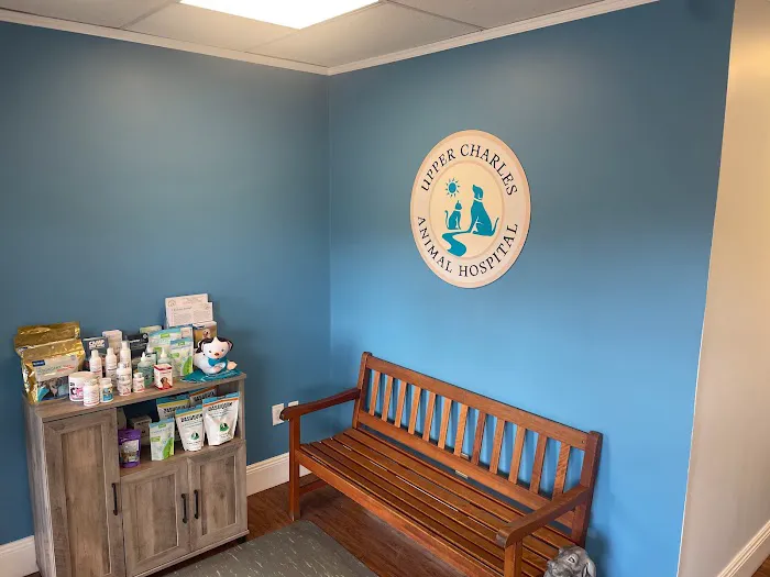 Upper Charles Animal Hospital Picture 1