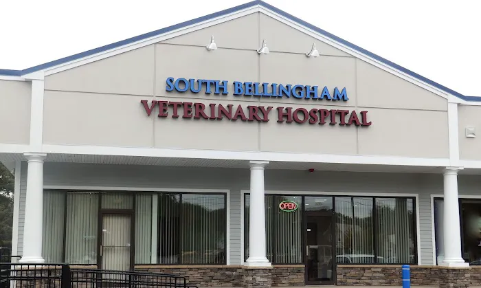 South Bellingham Veterinary Hospital Picture 2