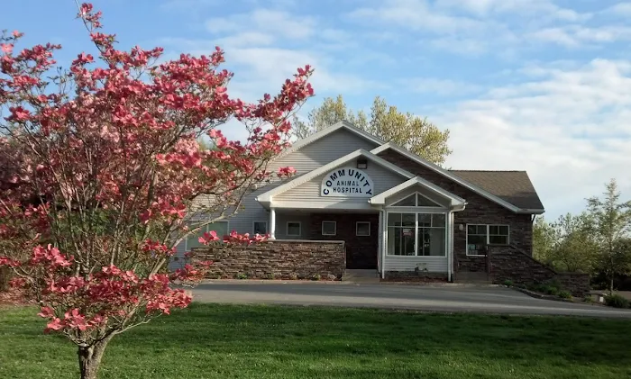 Community Animal Hospital Picture 4