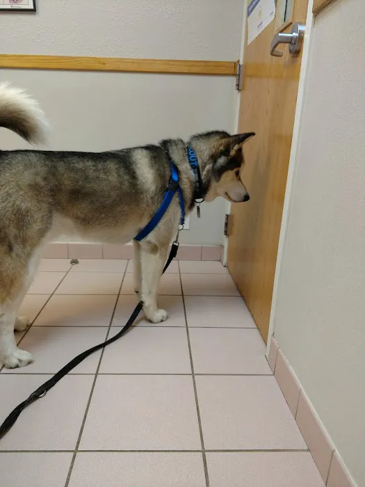 Community Animal Hospital Picture 9