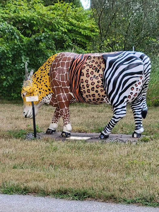 Tufts Wildlife Clinic Picture 6