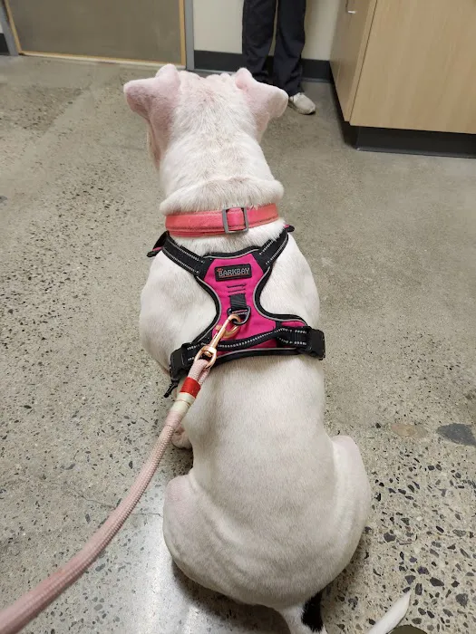 Vetco Total Care Animal Hospital Picture 1
