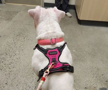Vetco Total Care Animal Hospital