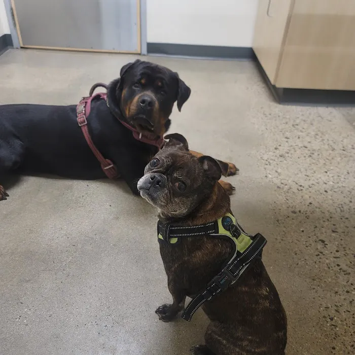 Vetco Total Care Animal Hospital Picture 9