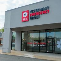 Veterinary Emergency Group ico