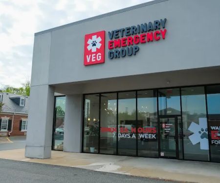 Veterinary Emergency Group