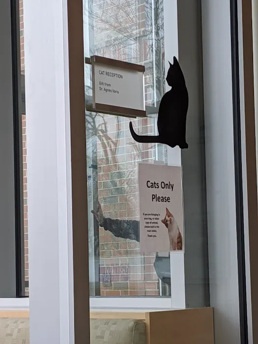 Tufts Animal Behavior Clinic Picture 1