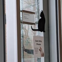 Tufts Animal Behavior Clinic ico