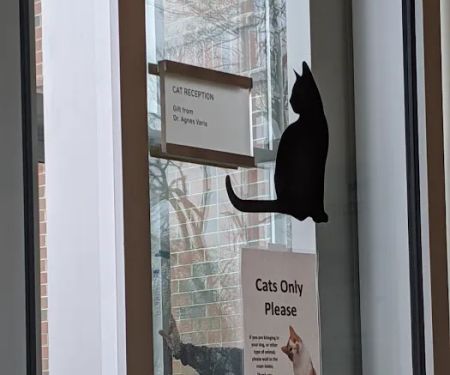 Tufts Animal Behavior Clinic