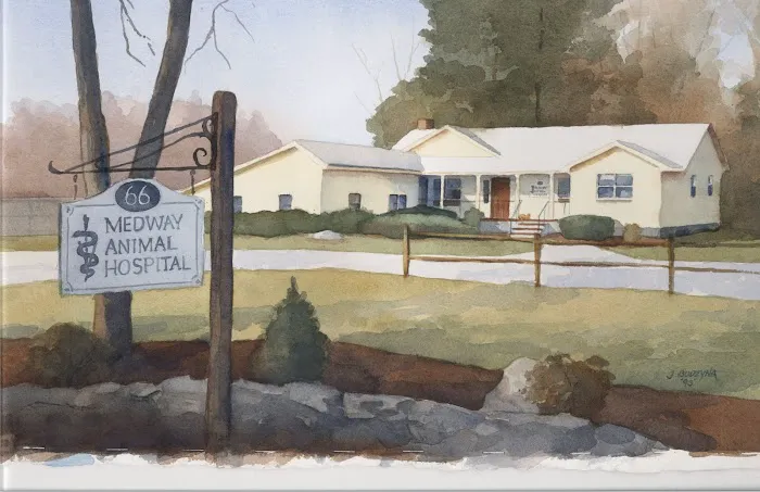 Medway Animal Hospital Picture 3
