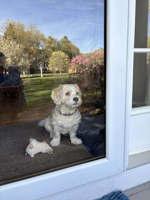 Medway Animal Hospital Picture 10