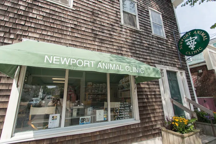 Newport Animal Clinic Picture 3