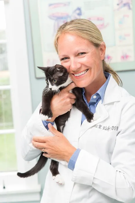 Newport Animal Clinic Picture 5