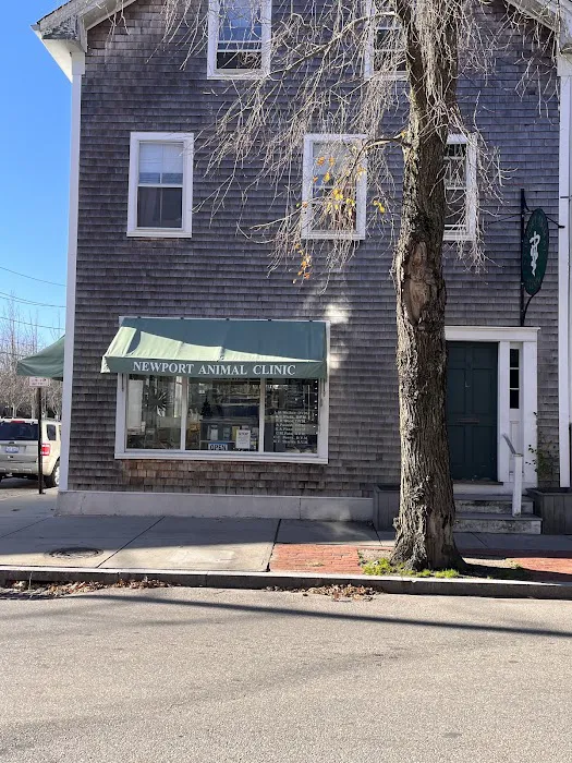Newport Animal Clinic Picture 4