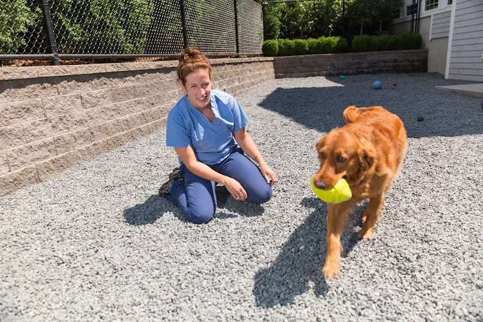 Newport Animal Hospital Picture 9