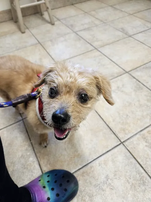 Newport Animal Hospital Picture 7