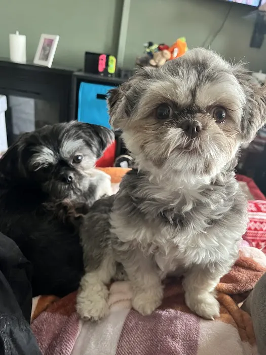 Newport Animal Hospital Picture 10