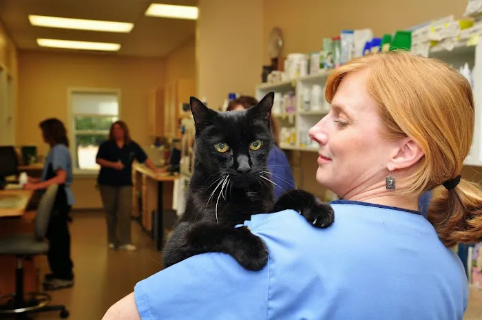 Portsmouth Veterinary Clinic Picture 4