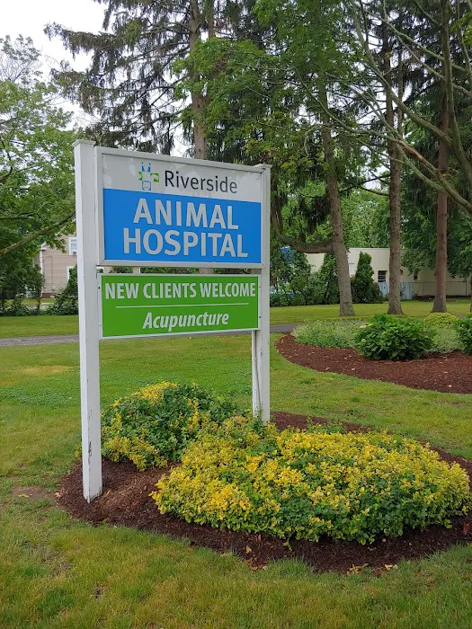 Riverside Animal Hospital Picture 3