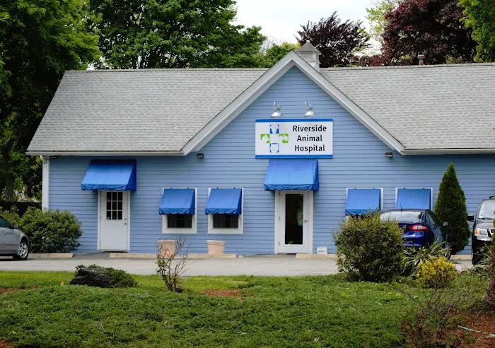 Riverside Animal Hospital Picture 2